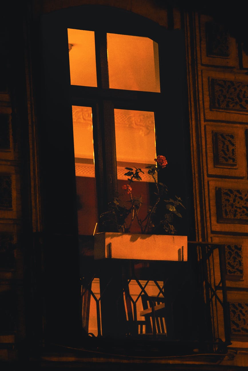 Illustration IPTV France — France